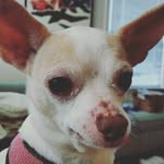 erik asher - @goofypenny - Instagram