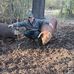 Erik Bailey - Facebook
