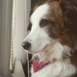 Erik Bailey - @its_erikbailey - Instagram
