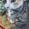 Erike Bardo - @erike.bardo - TikTok