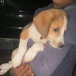 Erik Barrera - @erikbarrera76 - Instagram