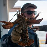 Erik Benner | Wet n’ Wilder Lobsterfishing - @erik._.benner - Instagram