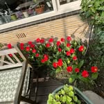 Erik Berger - @erikberger835 - Instagram