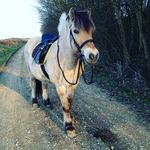 @erik_best_fjord - Instagram