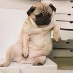 Eric Binder - @_eric_binder_ - Instagram
