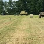 Erik block - @erik_der_landwirt - Instagram