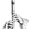 Erikblockflöjt - @erikblockfljt - TikTok