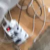 erik blomstergren - @erik.blomstergren - TikTok