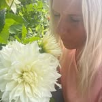 Erika Friberg - @erikasdahliorochblomster - Instagram