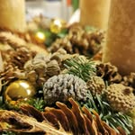 @eriksens_blomster - Instagram