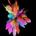 Erik Bohn - Facebook