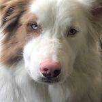 Erik Brinkman - @erik.brinkman.0421 - Instagram