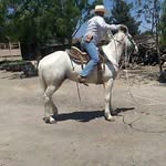 Erik Briones - @erik.briones.583 - Instagram