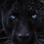 Erik Calhoun - Facebook