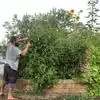 Erik Calhoun - @erik.calhoun - TikTok
