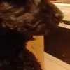Sven-Erik Carlström - @svenerik.carlstrm - TikTok