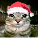 Erik chaparro - @erikchaparro - Instagram