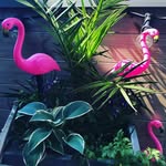 Hernandez erik charles - @erik_charles_hernandez_ - Instagram