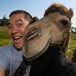 Eric Cheng - @echeng - Instagram