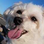 Erik Cheng - Facebook