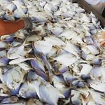 erik chow - @erik.chow - Instagram