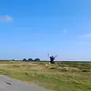 Erikchow - @erikchow4 - TikTok