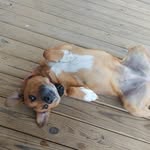 Erik Christman - @erik24christman - Instagram