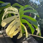 Erik Claudio - @erik.claudio.524 - Instagram