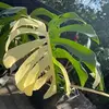 Erik Claudio - @erik.claudio1 - TikTok