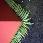 Eric Cline - @iericdcline - Instagram