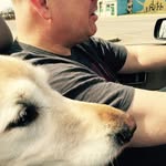 Eric Cline - @eric.cline.391 - Instagram