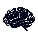 Dr. Eric Cobb | Online Brain-Based Education - @zhealth_performance - Instagram
