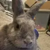 Eric Cochran - @ericcochran - TikTok