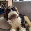 Erik Cole - @jaetyn_452 - TikTok