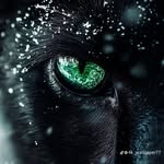 Erik Cox - @erik.cox.946 - Instagram