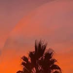 Fran - @erikcrane2018 - Instagram