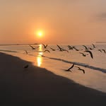 Eric Crow - @mistermistar33 - Instagram