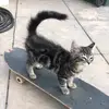 Erik - @erik.crowman - TikTok