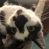 erik - @erikthecrowxvi - TikTok