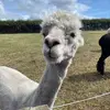 erikcrowther632 - @erikcrowther632 - TikTok