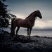 Erik Cuevas - Facebook