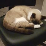 Erik Danielsson - @danielsson226 - Instagram