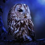 erik davidson - @erik__davidson - Instagram