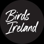Eric Dempsey - @birdsireland_photography - Instagram