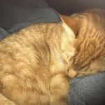 Eric Dempsey - @ericdempsey48 - Instagram