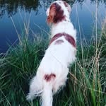 Erik de Witte - @erikde.witte - Instagram