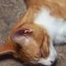 Erik Dewitt - Facebook