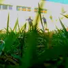 Lacika_diamond00FAN - @erik_diamond00 - TikTok