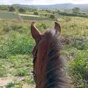 erik - @erikdimas.01 - TikTok