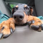 Erik - @erikdittrich177 - Instagram